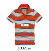 Polo Hollister - HO2026